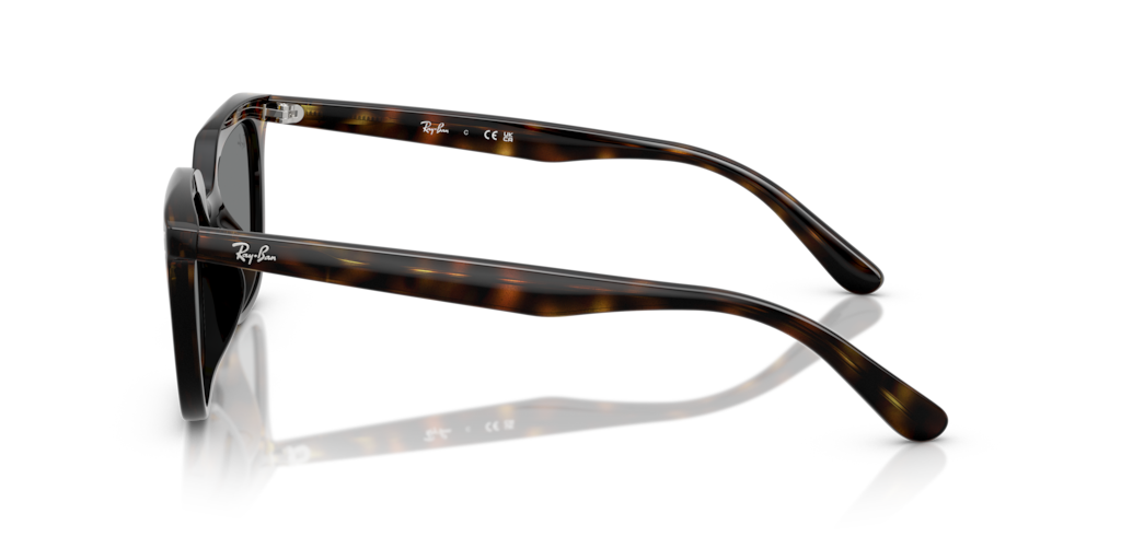 Ray-Ban RB4439D 710/87