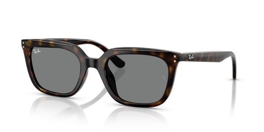Ray-Ban RB4439D