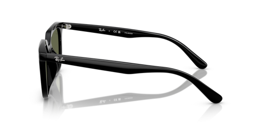 Ray-Ban RB4439D 901/9A