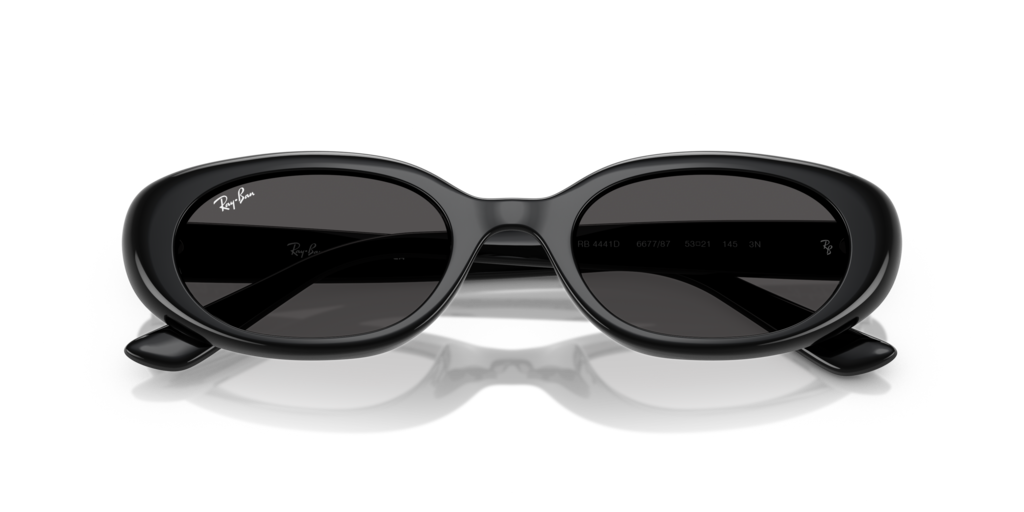 Ray-Ban RB4441D 667787