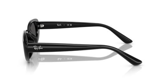 Ray-Ban RB4441D 667787