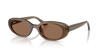 Ray Ban RB4441D 677973 53 Güneş Gözlükleri