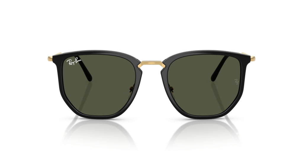 Ray-Ban RB4451 630631