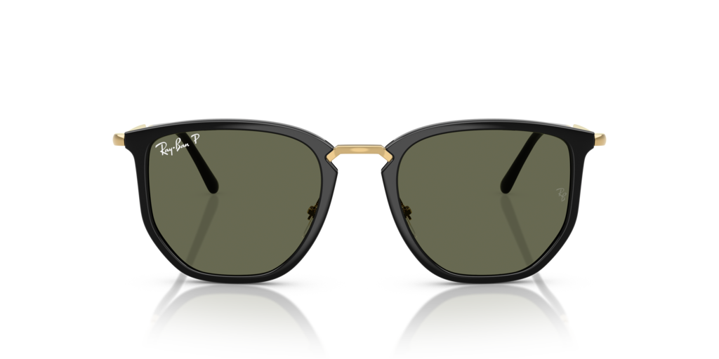 Ray-Ban RB4451 630658