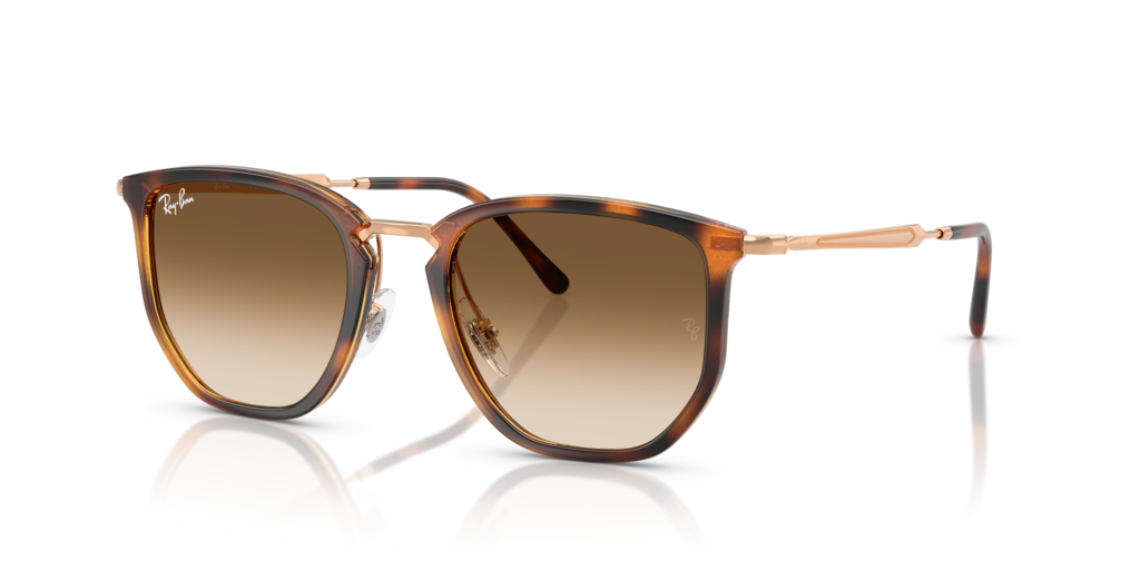Ray-Ban RB4451