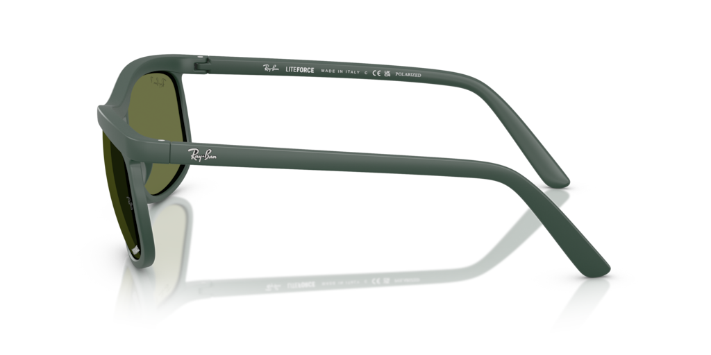 Ray-Ban RB4452CH 6016/2