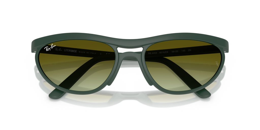 Ray-Ban RB4453 6016E8
