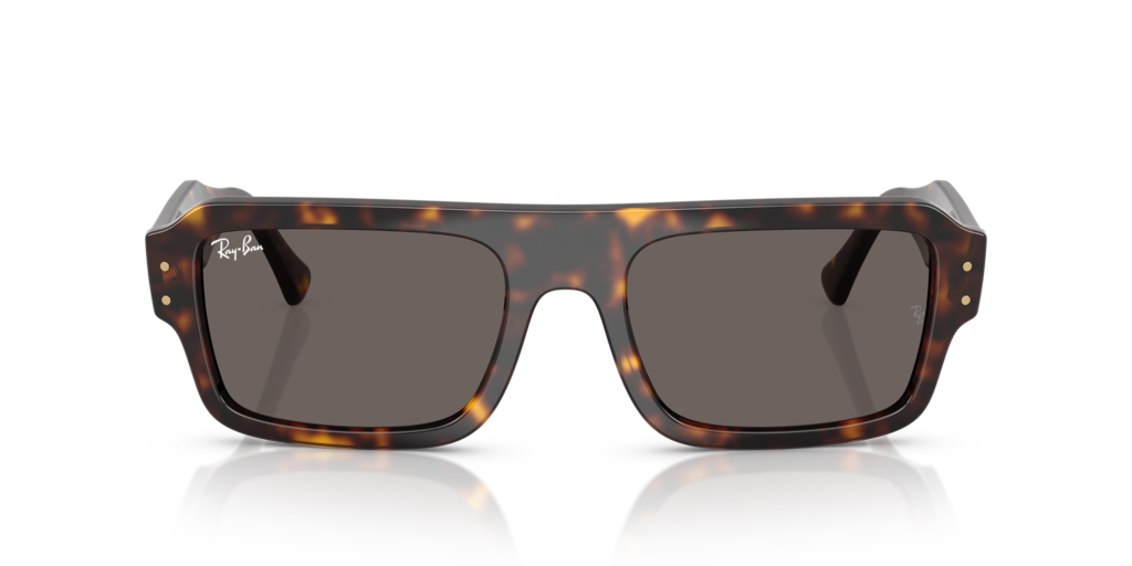Ray-Ban RB4454 1359B1