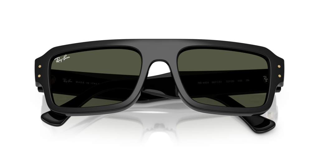 Ray-Ban RB4454 667731