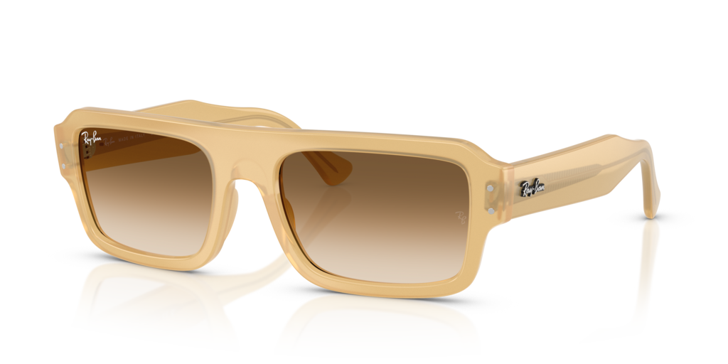 Ray-Ban RB4454