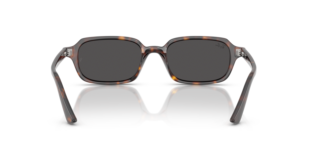 Ray-Ban RB4455 135987