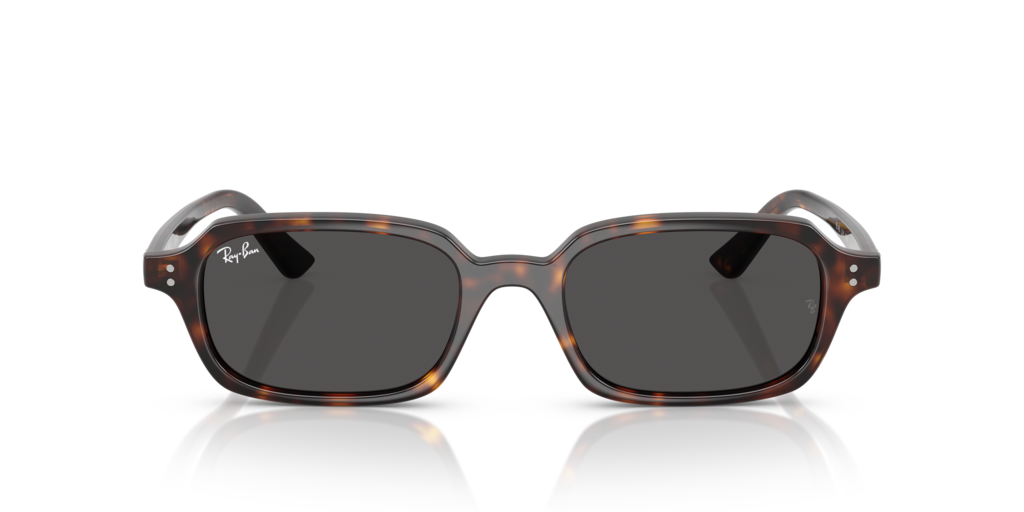 Ray-Ban RB4455 135987