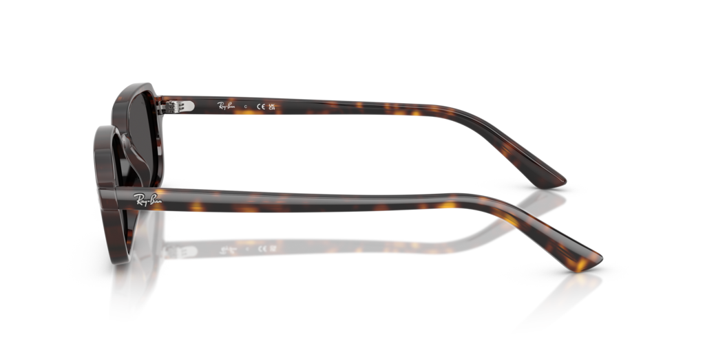 Ray-Ban RB4455 135987