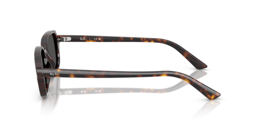 Ray-Ban RB4455 135987
