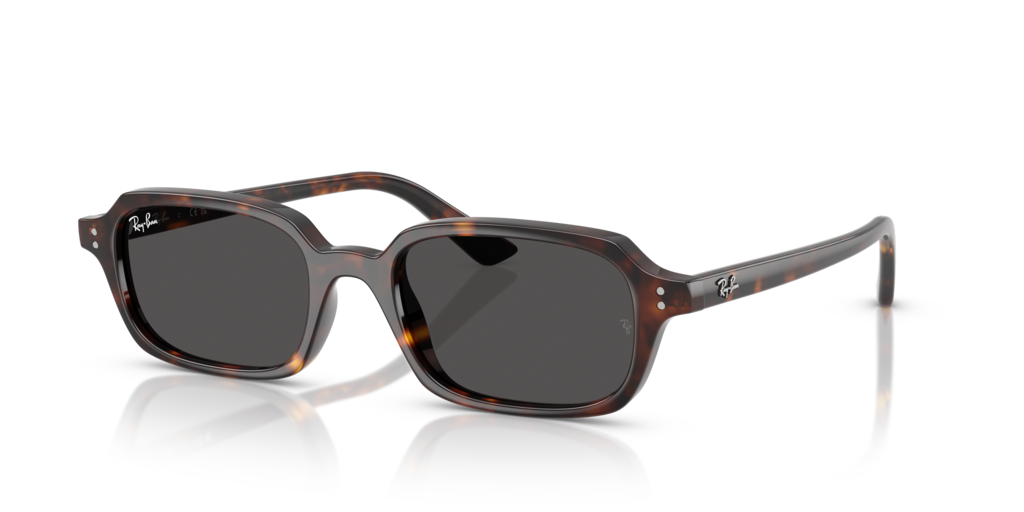 Ray-Ban RB4455