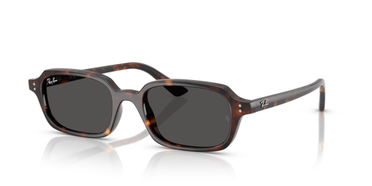 Ray-Ban RB4455