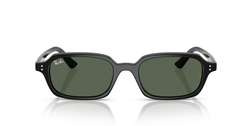 Ray-Ban RB4455 667771