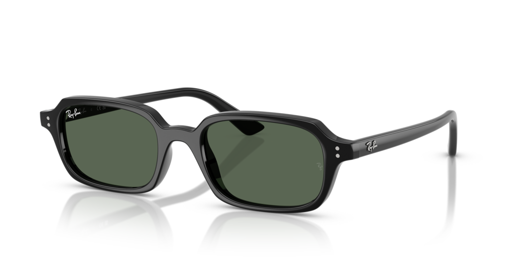 Ray-Ban RB4455