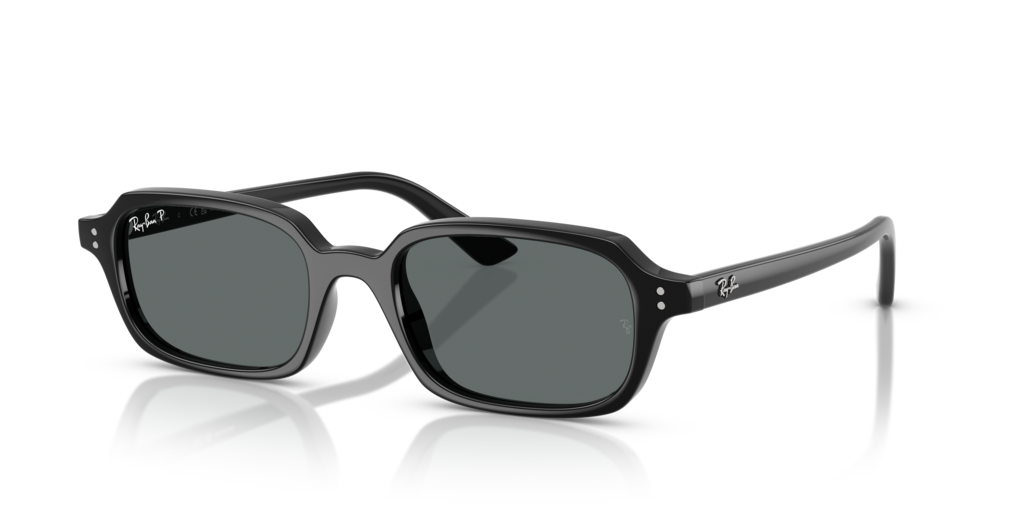 Ray-Ban RB4455