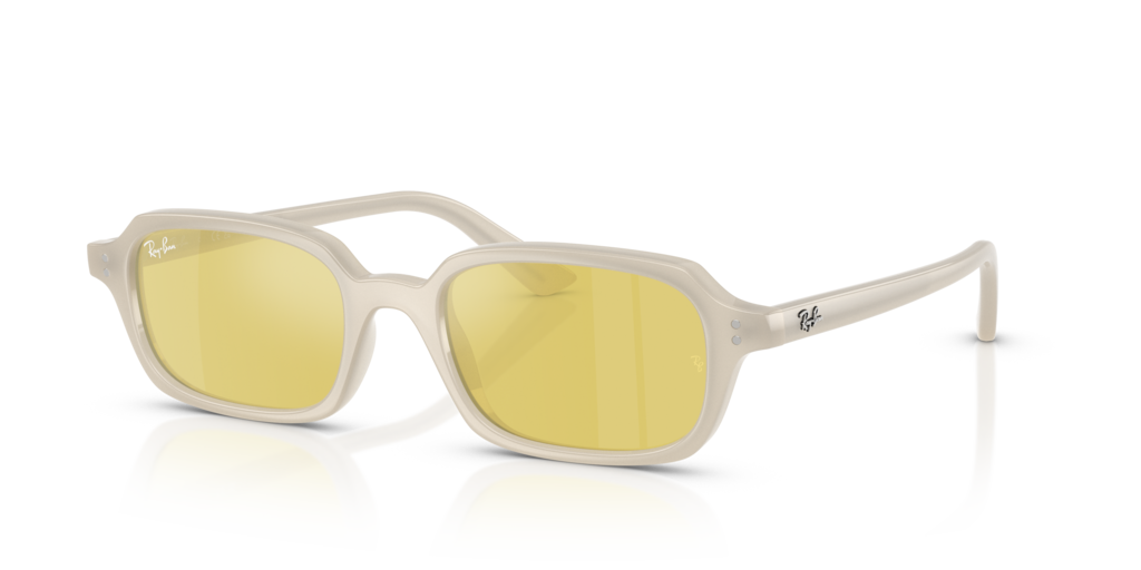 Ray-Ban RB4455