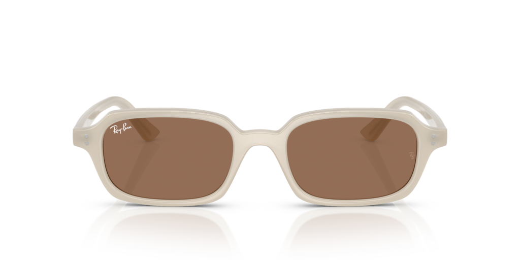 Ray-Ban RB4455 680873