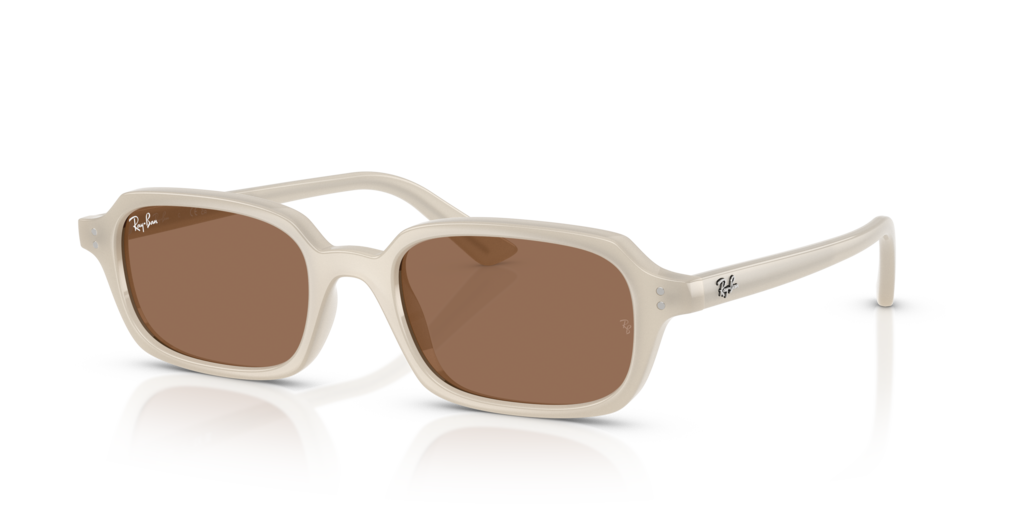 Ray-Ban RB4455