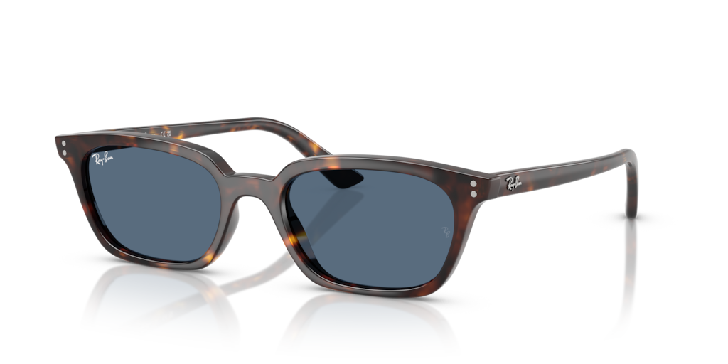 Ray-Ban RB4456