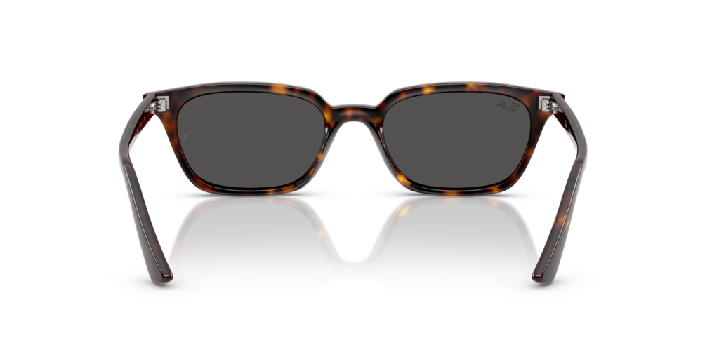Ray-Ban RB4456 135987