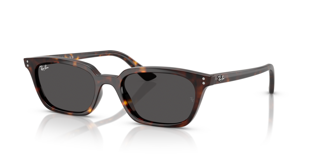 Ray-Ban RB4456
