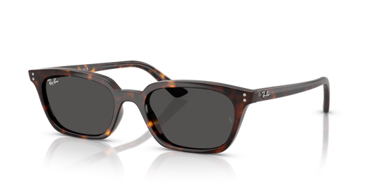 Ray-Ban RB4456