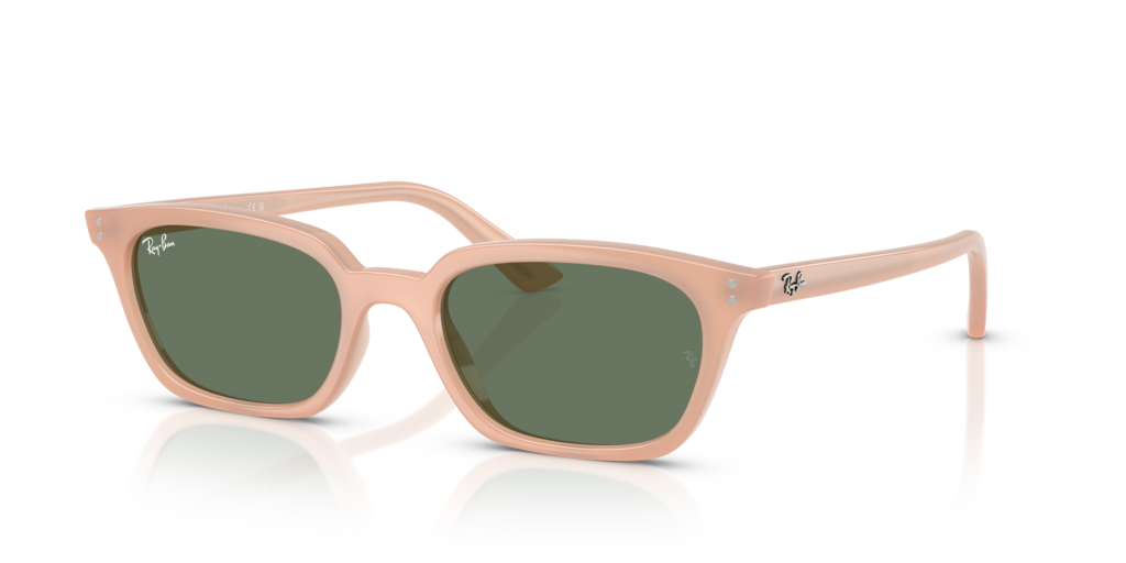 Ray-Ban RB4456