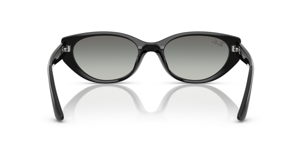 Ray-Ban RB4457D 667711