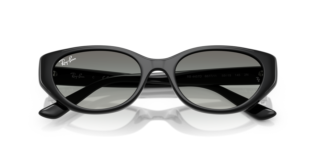 Ray-Ban RB4457D 667711