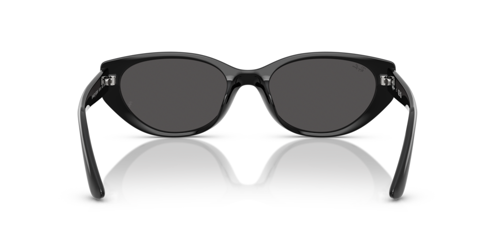 Ray-Ban RB4457D 667787 55-19 – Optik Shop