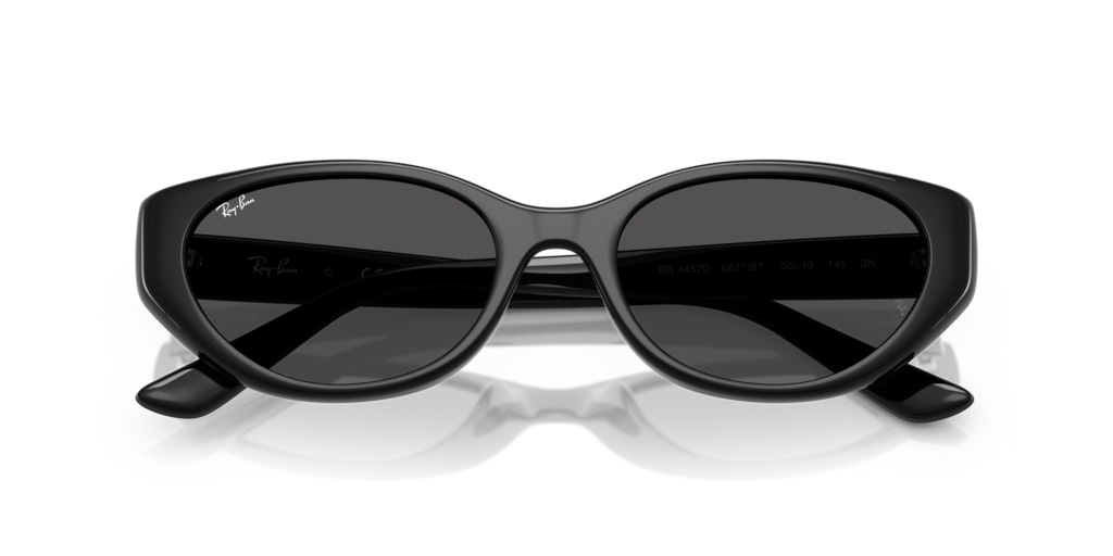 小物 Ray-Ban RB4457D Ray-Ban RB4457D 667787 55-19 – Optik Shop