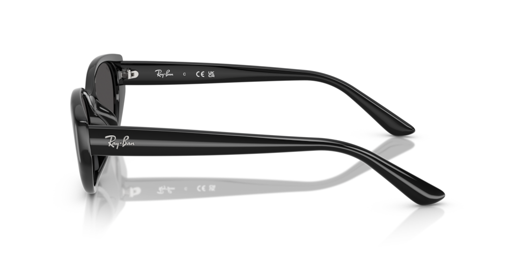 Ray-Ban RB4457D 667787
