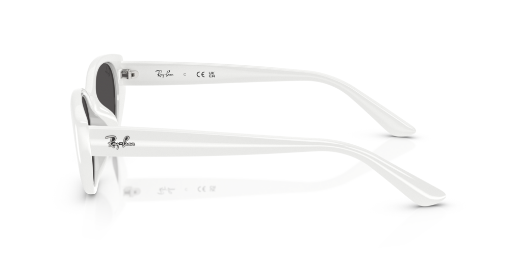 Ray-Ban RB4457D 677287