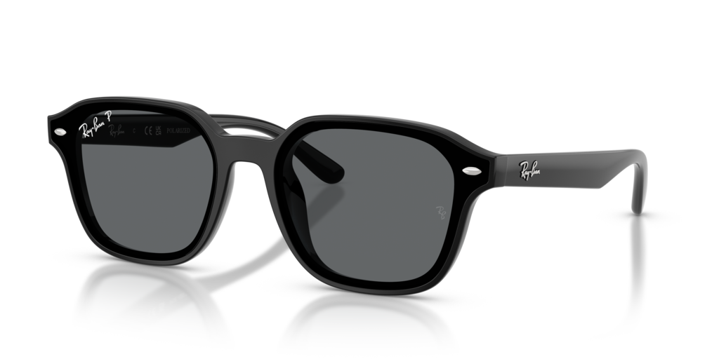 Ray-Ban RB4458D