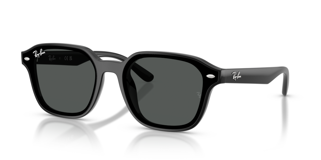 Ray-Ban RB4458D