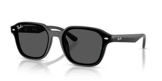 Ray-Ban RB4458D
