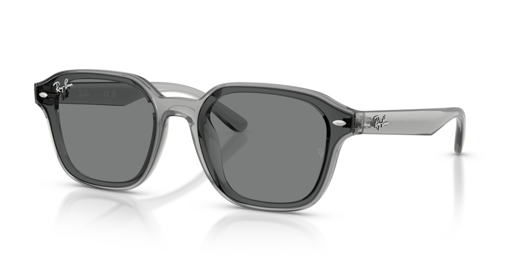 Ray-Ban RB4458D
