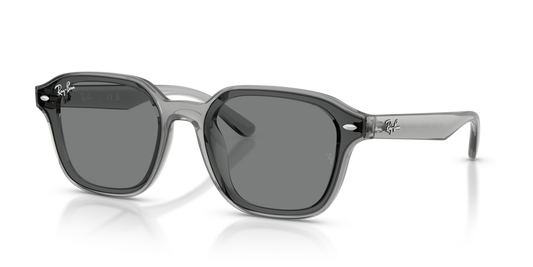 Ray-Ban RB4458D