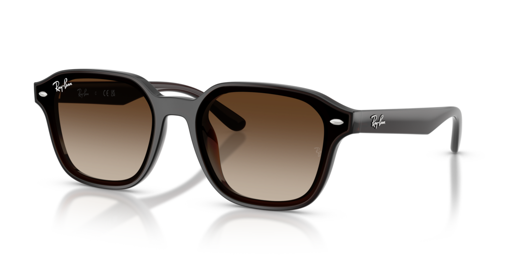 Ray-Ban RB4458D