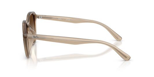 Ray-Ban RB4459D 616613