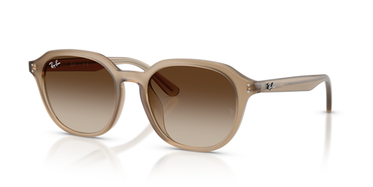 Ray-Ban RB4459D
