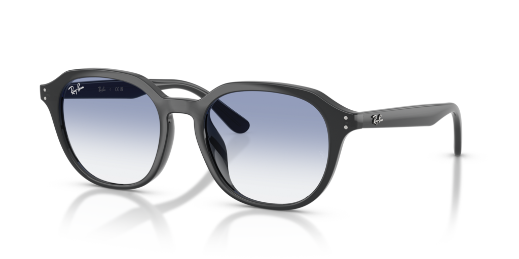 Ray-Ban RB4459D