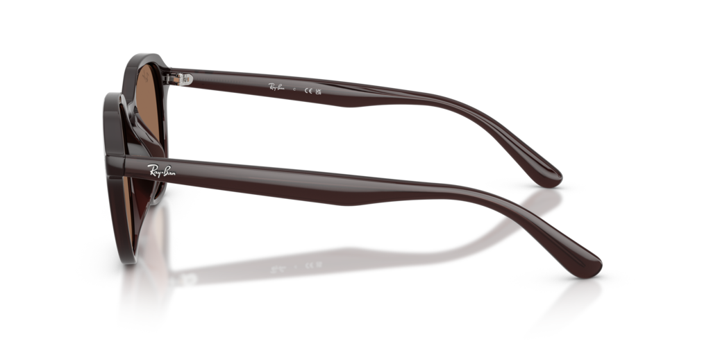 Ray-Ban RB4459D 623173