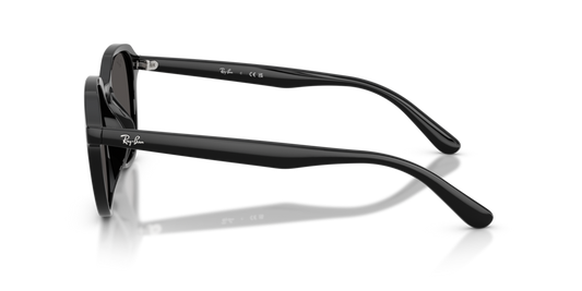 Ray-Ban RB4459D 901/87