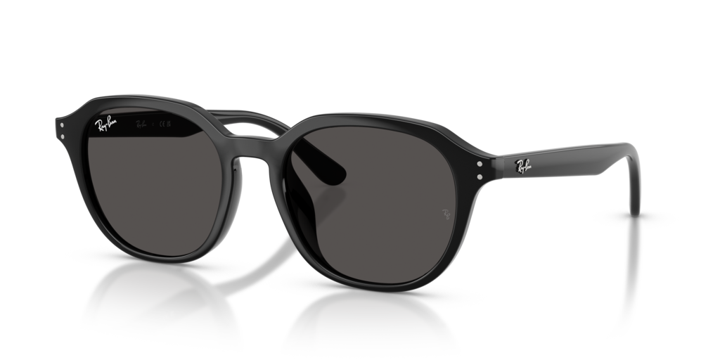 Ray-Ban RB4459D