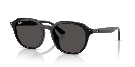 Ray-Ban RB4459D
